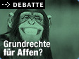 Zu debatte.ORF.at / &copy;Bild: Corbis