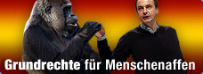 Der Affe r&uuml;ckt dem Menschen n&auml;her / &copy;Bild: APA/Corbis/ORF.at