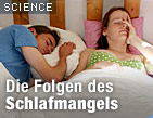 Zu science.ORF.at / &copy;Bild: Fotolia/Lisa Vanovitch