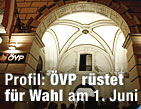 Die Schritte bis zur "Erl&ouml;sung" / &copy;Bild: APA/Herbert Pfarrhofer