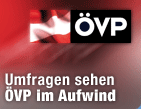 Gusenbauers Umfragewerte im freien Fall / &copy;Bild: ORF.at (Montage)