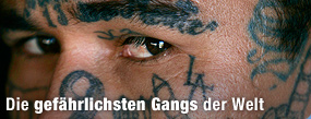 Gefahr f&uuml;r St&auml;dte / &copy;Bild: Reuters/Edgard Garrido