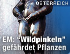 &copy;Bild: APA/Raymond Schmit (Montage