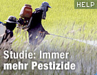 Zu help.ORF.at / &copy;Bild: APA/Barbara Walton