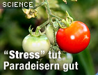Zu science.ORF.at / &copy;Bild: Fotolia/YvesBonnet