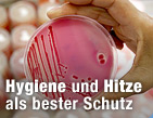 H&auml;ufigste Lebensmittelinfektion / &copy;Bild: AP/Thomas Kienzle