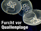 Nicht nur Mittelmeer betroffen / &copy;Bild: APA/Stefanos Rapanis