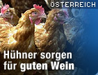 Zu oesterreich.ORF.at / &copy;Bild: APA/Bernd W&uuml;stneck (Montage)