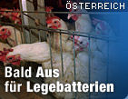 Zu oesterreich.ORF.at / &copy;Bild: APA/Kay Nietfeld (Montage)