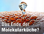 Adria und die Krise / &copy;Bild: Fotolia/marcin chodorowski