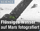 Zu science.ORF.at / &copy;Bild: NASA/JPL-Caltech/University of Arizona/Max Planck Institute