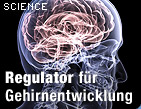 Zu science.ORF.at / &copy;Bild: Jeffrey Collingwood