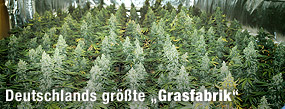 Durchorganisiert bis ins Detail / &copy;Bild: AP