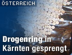 Zu oesterreich.ORF.at / &copy;Bild: APA/Roland Schlager (Montage)