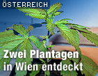 Zu oesterreich.ORF.at / &copy;Bild: Fotolia/Alexey Masterov (Montage)