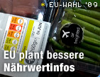 Zu euwahl09.ORF.at