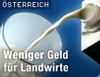 Zu oesterreich.ORF.at / &copy;Bild: Fotolia/anshuca