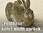 Eigener Tresor f&uuml;r wichtige Exponate / &copy;Bild: APA/Guenter Artinger