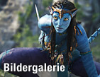 Exotische Fantasiewelt / &copy;Bild: Twentieth Century Fox