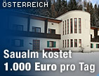 Zu oesterreich.ORF.at / &copy;Bild: APA/Gert Eggenberger (Montage)