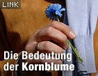 Die Kornblume bei Wikipedia / ©Bild: APA