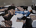 ©Bild: Jan Fabre/VBK, Wien, 2008, Kunsthaus Bregenz