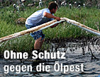 Helfer bekommen keine Ausrüstung / ©Bild: AP/Gerald Herbert